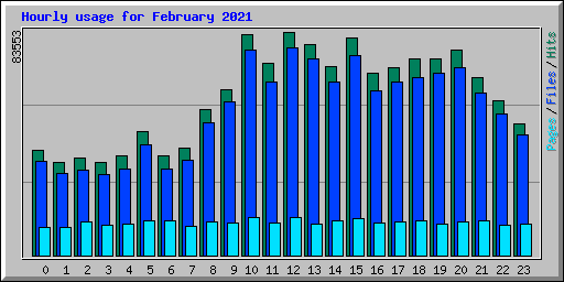 Hourly usage for February 2021