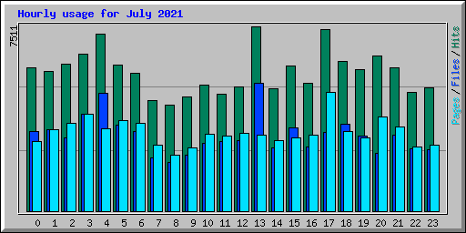 Hourly usage for July 2021