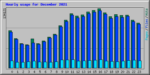 Hourly usage for December 2021