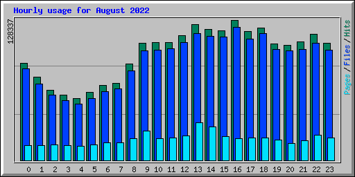 Hourly usage for August 2022