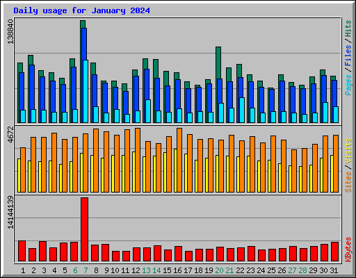 Daily usage for January 2024