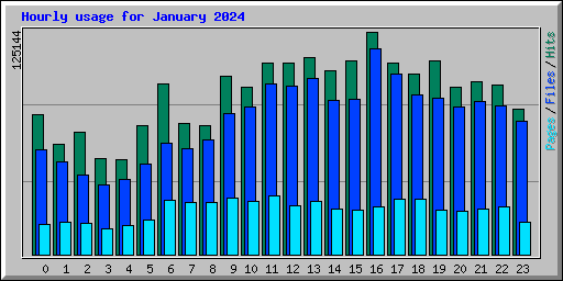 Hourly usage for January 2024