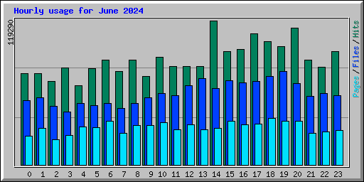 Hourly usage for June 2024