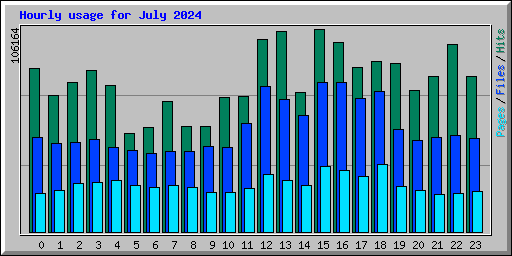 Hourly usage for July 2024