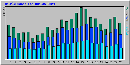 Hourly usage for August 2024
