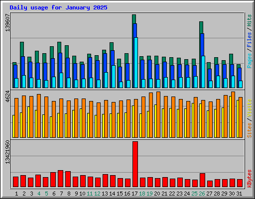 Daily usage for January 2025